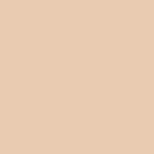 Product Image of RAL 1015 - Light Ivory