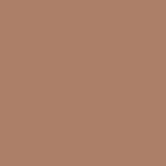 Product Image of RAL 1019 - Grey Beige