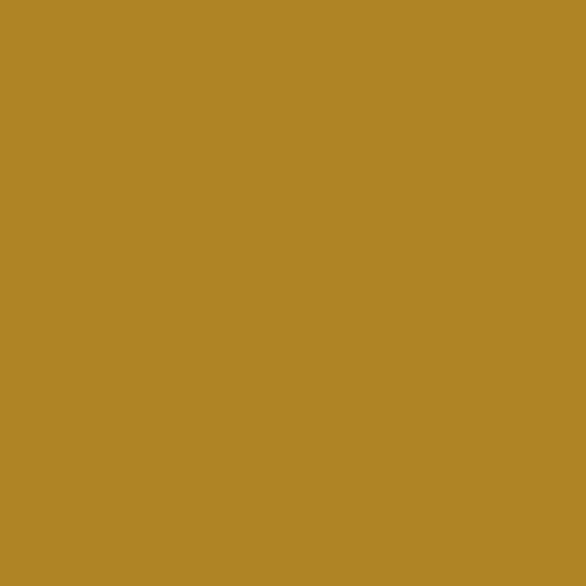 Product Image of RAL 1027 - Curry