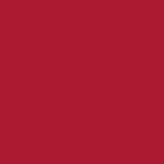Product Image of RAL 3002 - Carmine Red