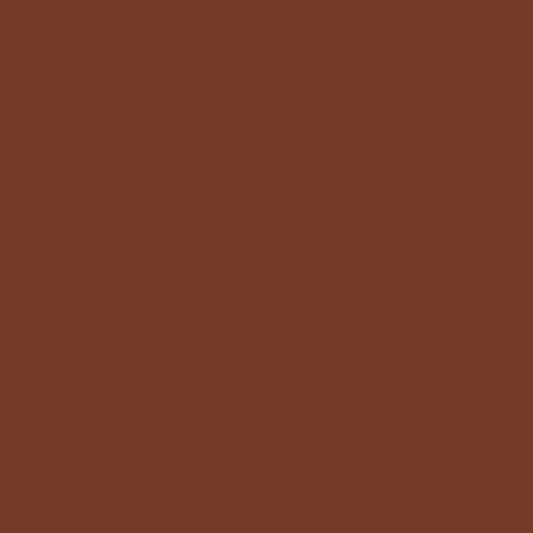 Product Image of RAL 8002 - Signal Brown