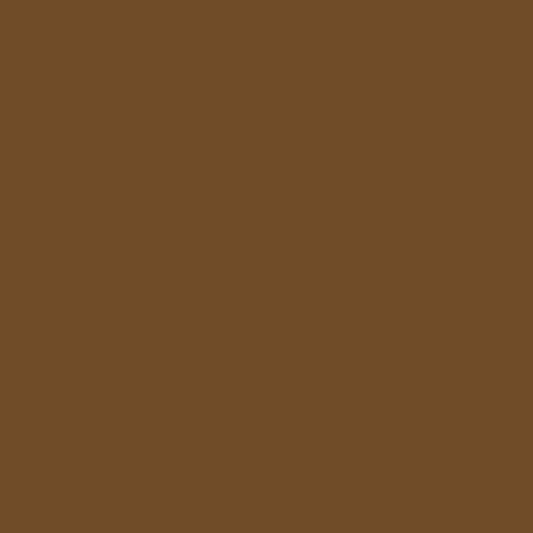 Product Image of RAL 8008 - Olive Brown