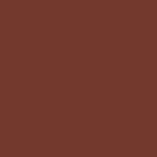 Product Image of RAL 8012 - Red Brown