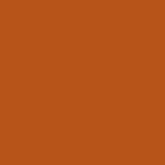 Product Image of RAL 8023 - Orange Brown
