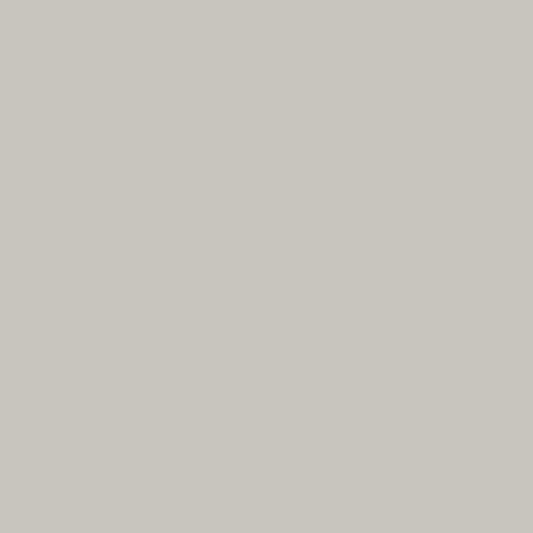 Product Image of RAL 9018 - Papyrus White